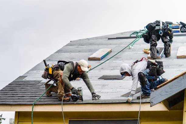 Professional Storm Damage Roof Repair technician working in New Canton, VA